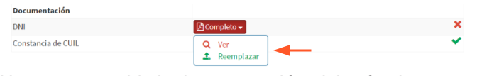 4_2_1_3_13_boton_ver_reemplazar.png